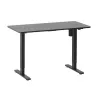 EQUIP ERGO Electric Sit-Stand Desk Frame with Desktop, Black, 120x60 cm, Dual Motor, 125 kg