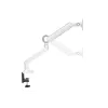 Equip 17 inch-35 inch Premium Monitor Desk Mount Bracket, White