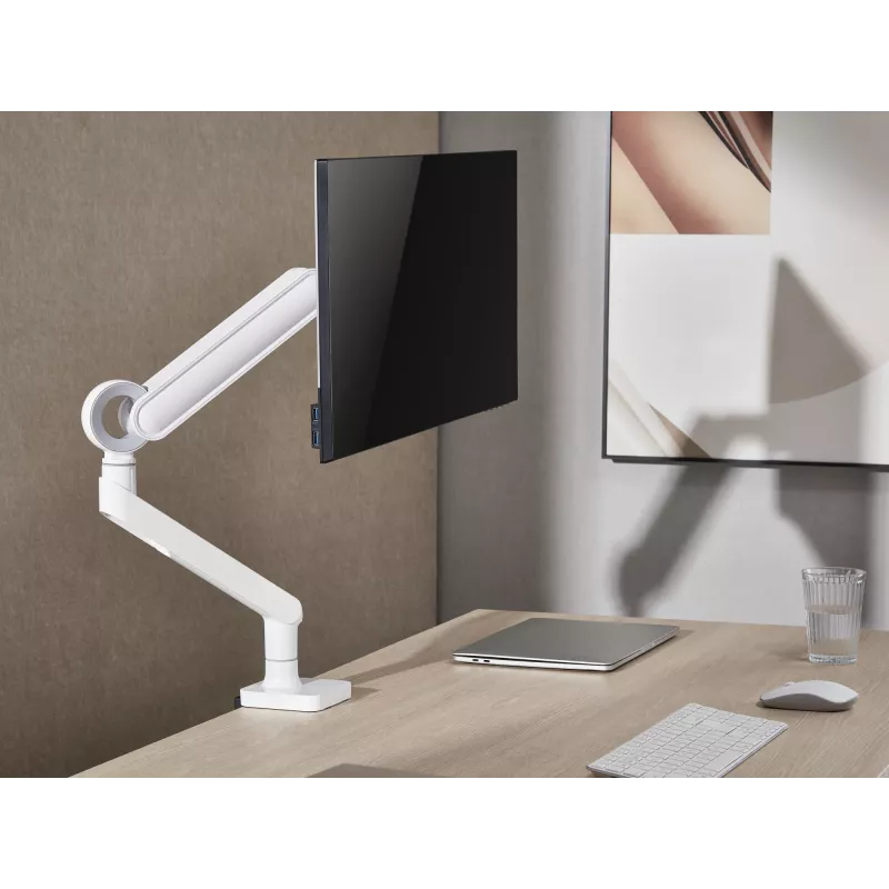 Equip 17 inch-35 inch Premium Monitor Desk Mount Bracket, White