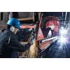 Bosch GWS 19-125 CIE Professional angle grinder 12.5 cm 11500 RPM 1900 W 2.4 kg