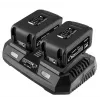 Graphite 58GE134 Battery Charger