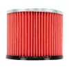 Graphite 59G611 Vacuum