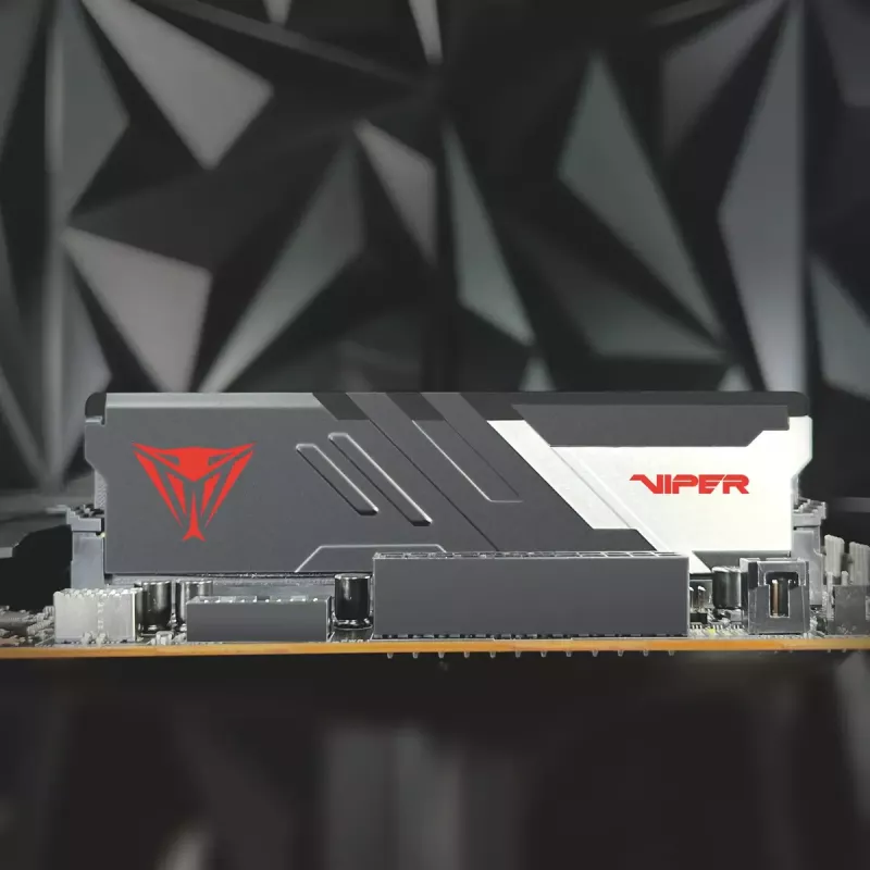 DIMM 32 GB DDR5-6200 (2x 16 GB) Dual-Kit, Arbeitsspeicher schwarz, PVV532G620C40K, Viper Venom, INTEL XMP