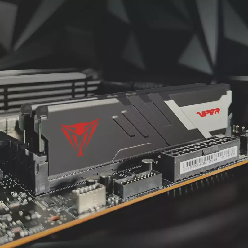 DIMM 32 GB DDR5-6200 (2x 16 GB) Dual-Kit, Arbeitsspeicher schwarz, PVV532G620C40K, Viper Venom, INTEL XMP