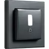 Motion detector HomeMatic IP HmIP-SMI55-A Anthracite — wall/ceiling mounting, 55 frames