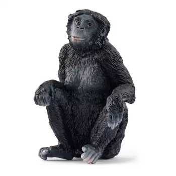 Figurine Schleich WILD LIFE Bonobo Female 14875 Black 3 years