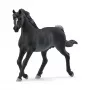 schleich HORSE CLUB Arabian Stallion, 5 yr(s), Horses, Black, Grey, White, Plastic