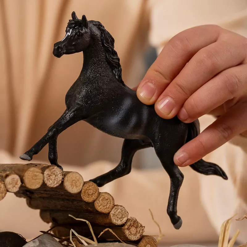 schleich HORSE CLUB Arabian Stallion, 5 yr(s), Horses, Black, Grey, White, Plastic