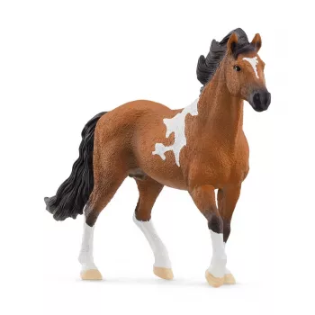 schleich HORSE CLUB Mangalarga Marchador Stallion, 5 yr(s), Horses, Black, Brown, White, Plastic