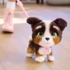 FurReal Walkalots Bernedoodle Puppy, Boy/Girl, 4 yr(s), Sounding