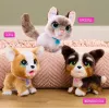 FurReal Poop-a-lots Corgi, Boy/Girl, 4 yr(s), Sounding