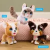 FurReal Wag-a-lots Kitty, Boy/Girl, 4 yr(s), Sounding