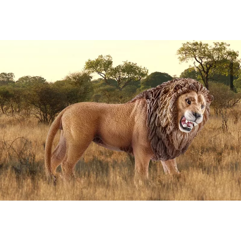 Schleich WILD LIFE Lion roaring Multicolour Plastic 3+ years