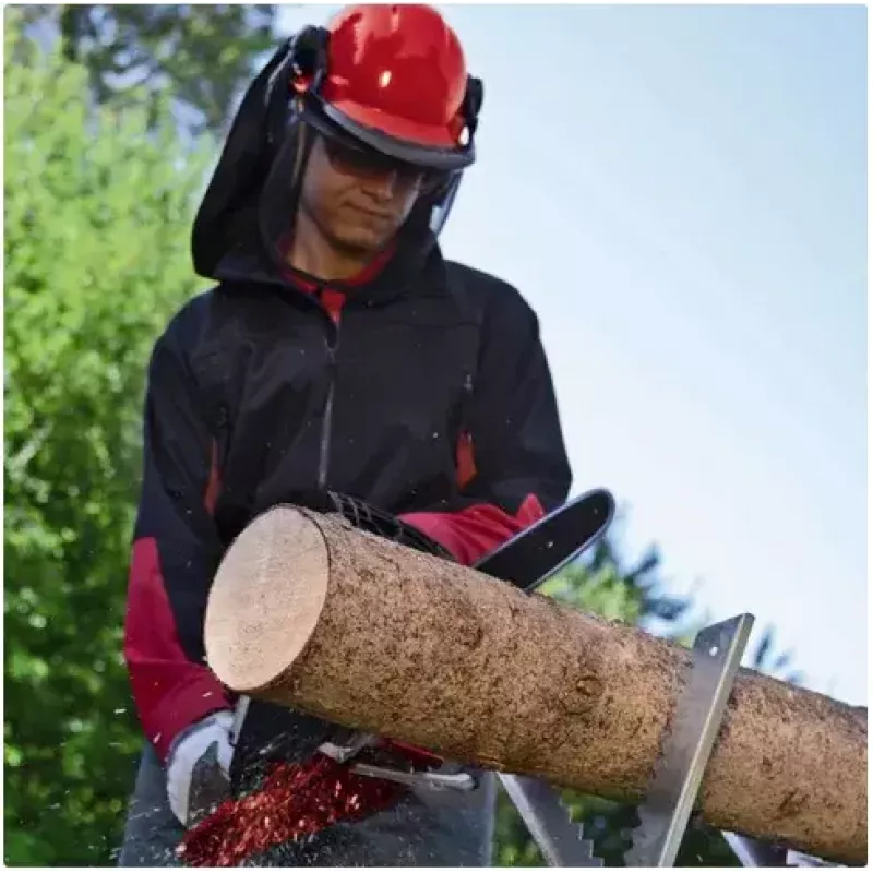 Chainsaw Einhell GE-EC 2240 2200 W Black Red