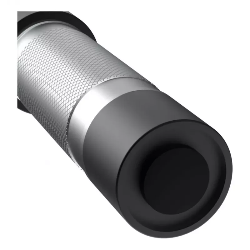 Universal flashlight Ansmann Daily Use 300B Black Silver LED 5W IPX4