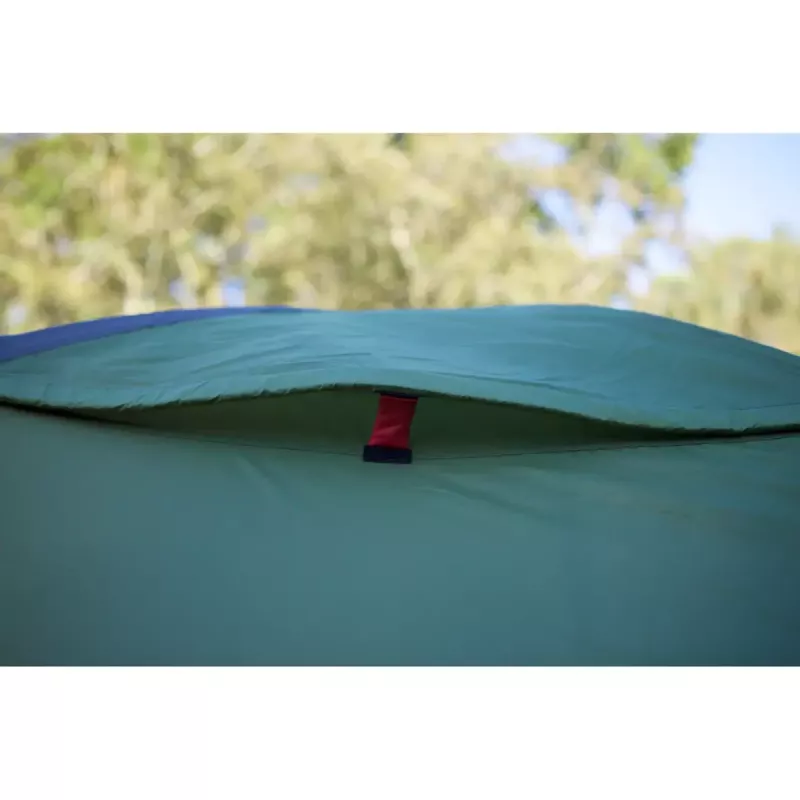 Dome Tent Coleman Darwin 4 Plus 4 Person Green