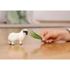schleich Valais Blacknose Sheep, 3 yr(s), Farm, Farm animals / farm toys, Black, White, Plastic