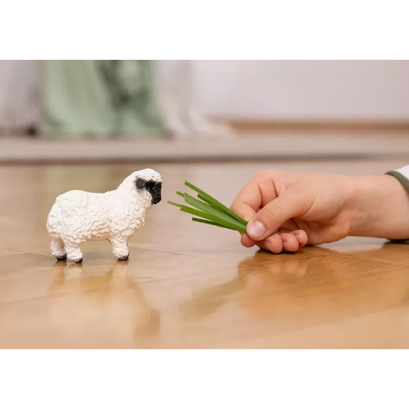 schleich Valais Blacknose Sheep, 3 yr(s), Farm, Farm animals / farm toys, Black, White, Plastic
