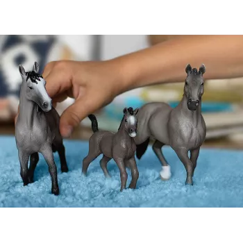 schleich HORSE CLUB Selle Français Stallion, 5 yr(s), Horses, Grey, Plastic