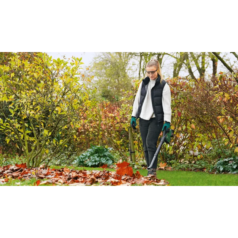 Bosch LeafBlower Lithium-Ion (Li-Ion)
