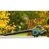Bosch LeafBlower Lithium-Ion (Li-Ion)