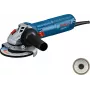 Bosch GWS 12-125 Professional angle grinder 12.5 cm 11000 RPM 1200 W 2.2 kg