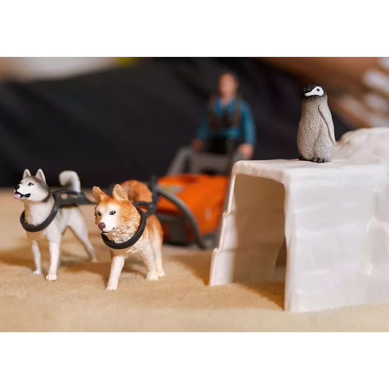 Zoo Schleich WILD LIFE Antarctic Expedition Multicolour 42558