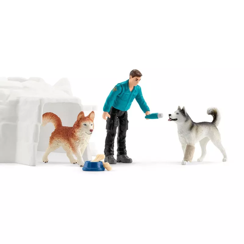 Zoo Schleich WILD LIFE Antarctic Expedition Multicolour 42558
