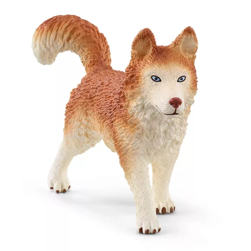 Zoo Schleich WILD LIFE Antarctic Expedition Multicolour 42558