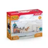 Zoo Schleich WILD LIFE Antarctic Expedition Multicolour 42558