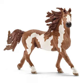 schleich FARM WORLD Pinto stallion, 3 yr(s), Farm animals / farm toys, Horses, Multicolour, Plastic, 1 pc(s)
