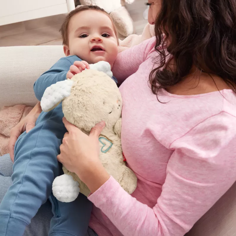 Fisher-Price Soothe & Settle Bunny Plush Baby Toy & Customizable Sound Machine with Motion