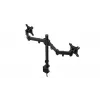Monitor mount ENDORFY Atlas Double for 2 displays 27 inch (68.6 cm), clamp, VESA 75x75–100x100, max 8 kg per screen, black