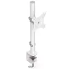 Monitor mount ENDORFY Atlas for 27 inch (68.6 cm) displays, clamp desk mount, VESA 75x75–100x100, max load 8 kg, white