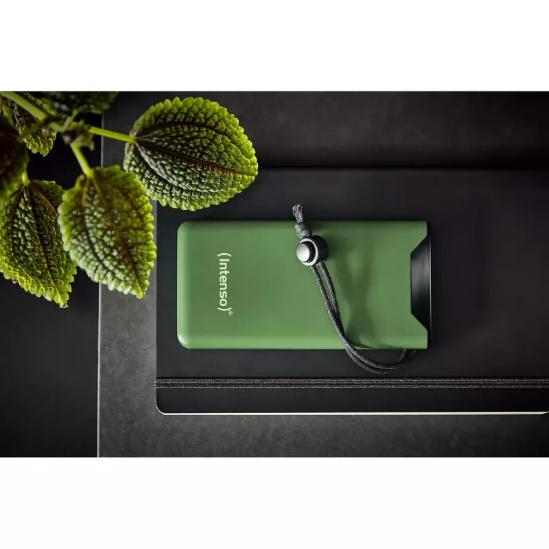 Portable Power Bank Intenso 7332037 10000 mAh