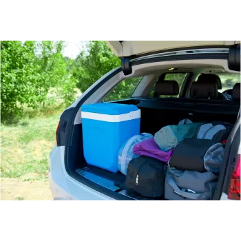 Cool box Campingaz Icetime Plus 26L Blue