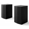 1-way Speaker LG SPT8-S Wireless 100 W Black