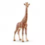 Figure, Schleich, WILD LIFE Giraffe, female