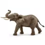schleich WILD LIFE African elephant, male, 3 yr(s), Safari, Wild animals / adventure toys, Multicolour, Plastic, 1 pc(s)