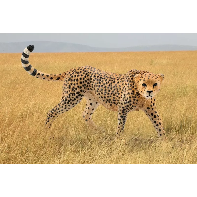 Figure Schleich WILD LIFE Cheetah female 14746