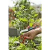 Gardena VeggieCut pruning shears Black Green Stainless steel blades
