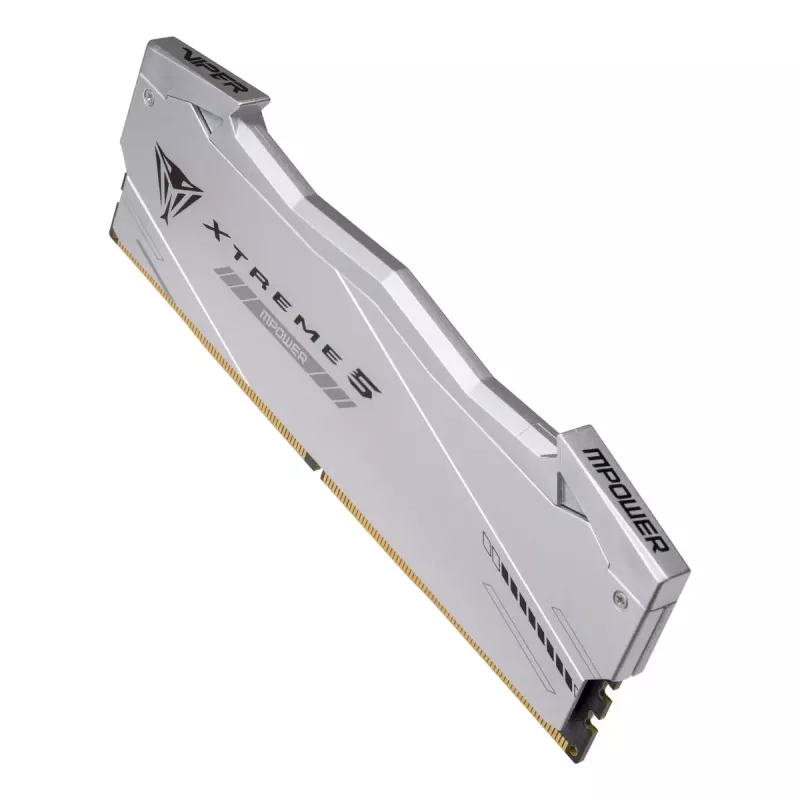Patriot Viper Gaming RGB XTREME 5 DDR5-8000 RAM, CL 38, Intel XMP 3.0 - 32GB Dual-Kit, silber