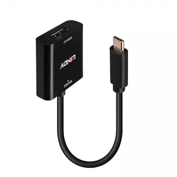 Lindy USB Type C to DisplayPort 4K144 Converter, USB Type-C, DisplayPort output, 3840 x 2160 pixels
