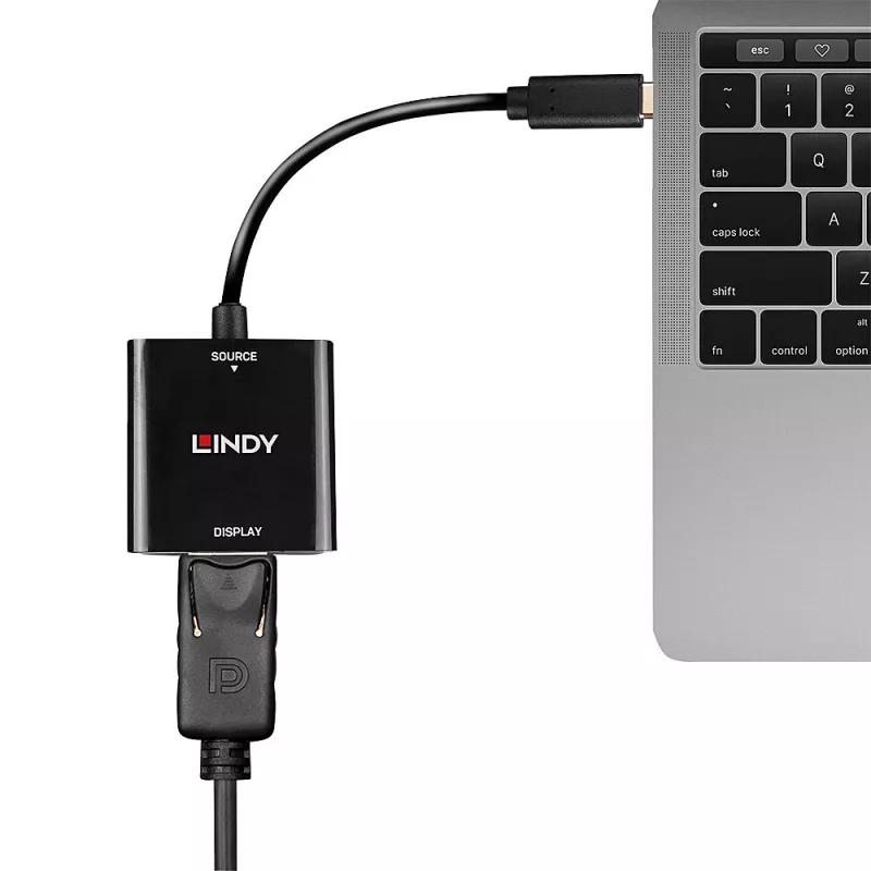 Lindy USB Type C to DisplayPort 4K144 Converter, USB Type-C, DisplayPort output, 3840 x 2160 pixels