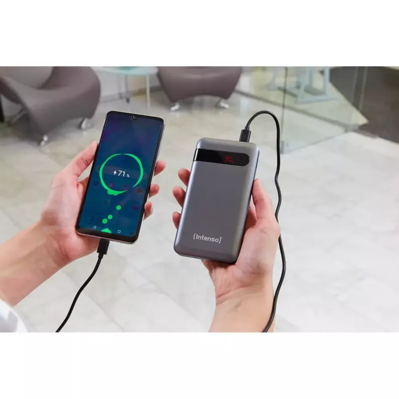 Portable Battery Intenso PD10000 10000 mAh