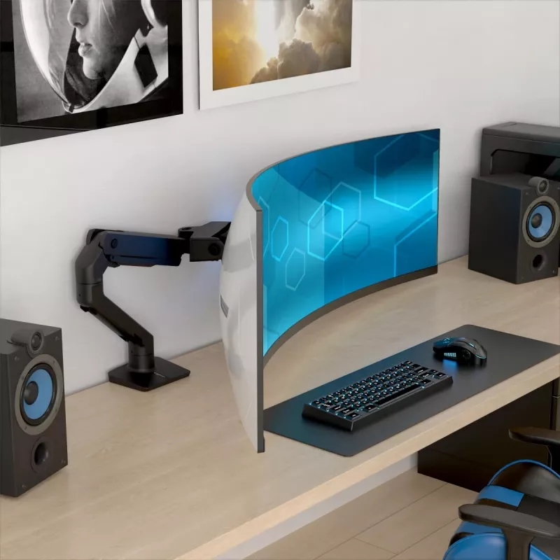 ERGOTRON HX Desk Monitor Arm with VHD Pivot - matte black