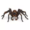 schleich Harry Potter Aragog, 6 yr(s), Magical Creatures, Black, Brown, White, Plastic