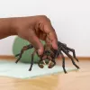schleich Harry Potter Aragog, 6 yr(s), Magical Creatures, Black, Brown, White, Plastic