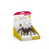 schleich Harry Potter Aragog, 6 yr(s), Magical Creatures, Black, Brown, White, Plastic