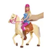 Barbie Doll and Horse, Fashion doll, Female, 3 yr(s), Girl, 250 mm, 480 g